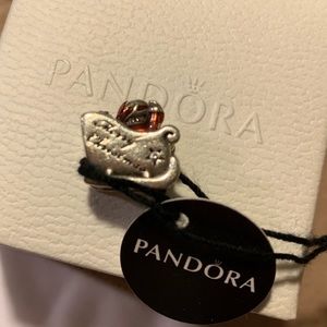 Pandora Charm